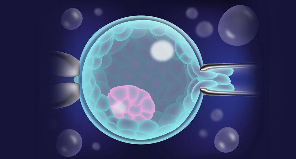 1756372123167608.jpg 1- (41).jpg