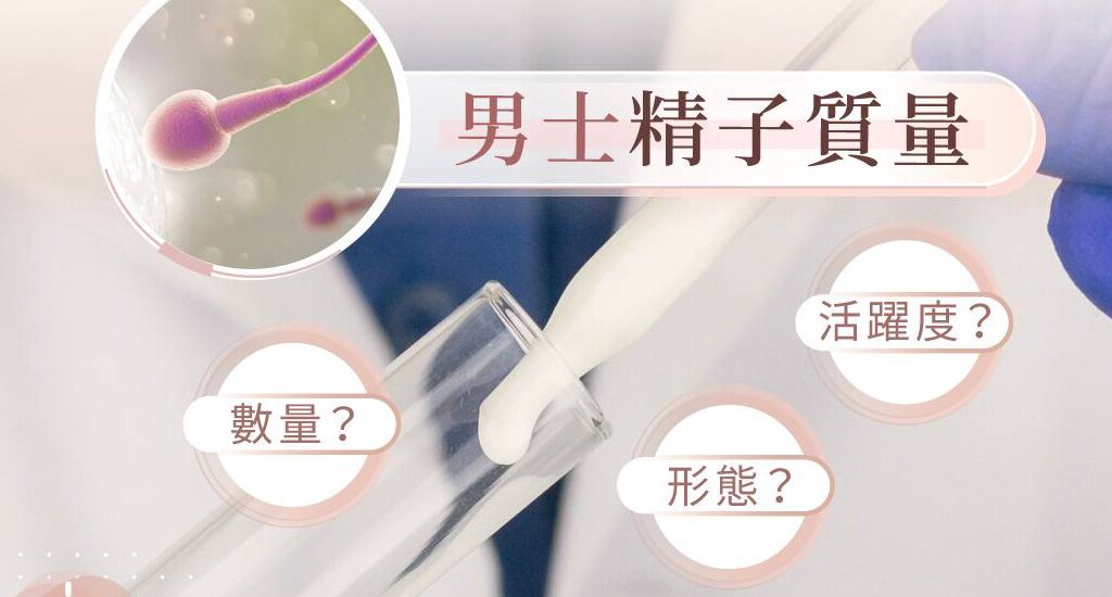 上海代孕机构：试管婴儿的实施步骤