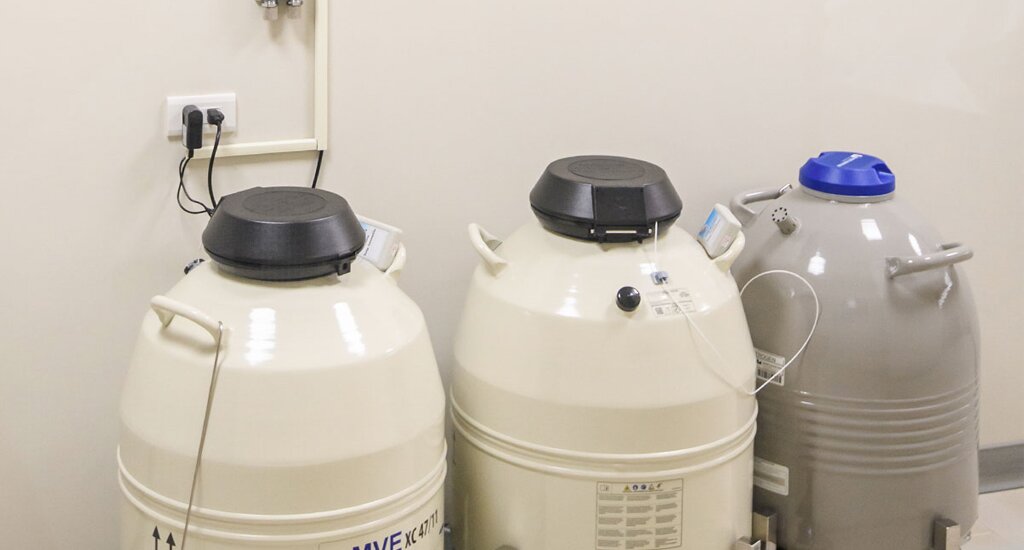 ​上海代孕服务：​跨越山海，只为与你相遇