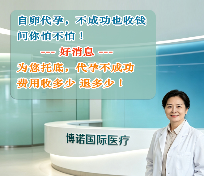 上海代孕